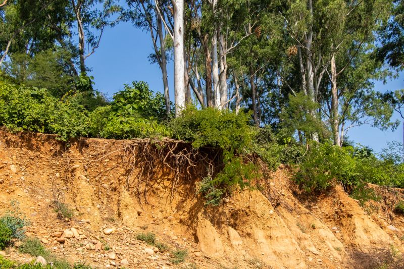 Erosion Control Cost Strategies — Cost of Erosion Control