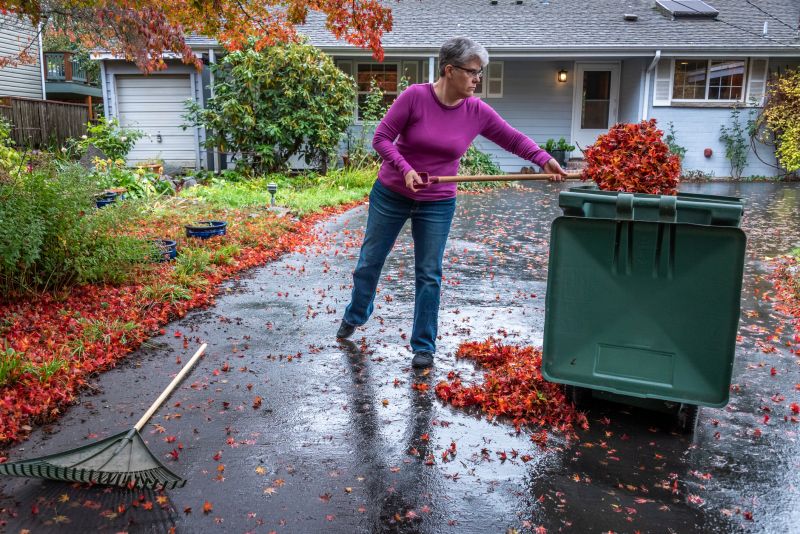 Leaf-covered Lawn Before Cleanup