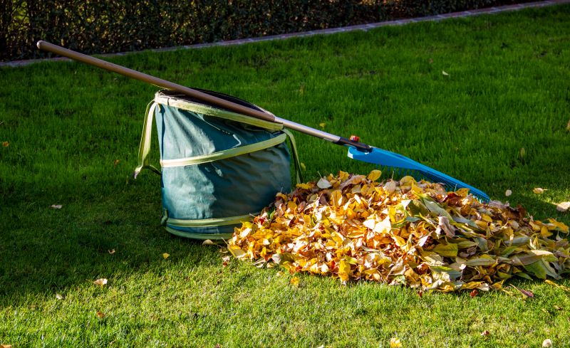 Gathered Leaves Ready for Disposal