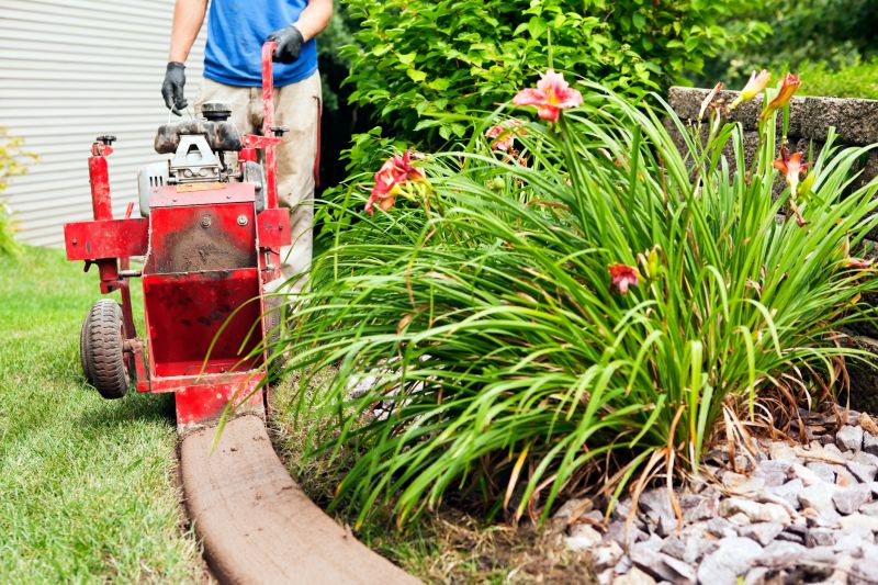 Tree Curbing Installation in Citrus County, FL