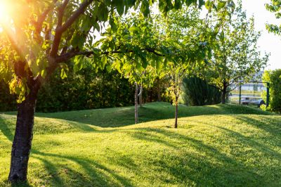 Natural Erosion Control
